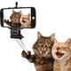 24 -_cat -_selfie.jpg