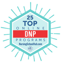 排名前25的DNP在线课程